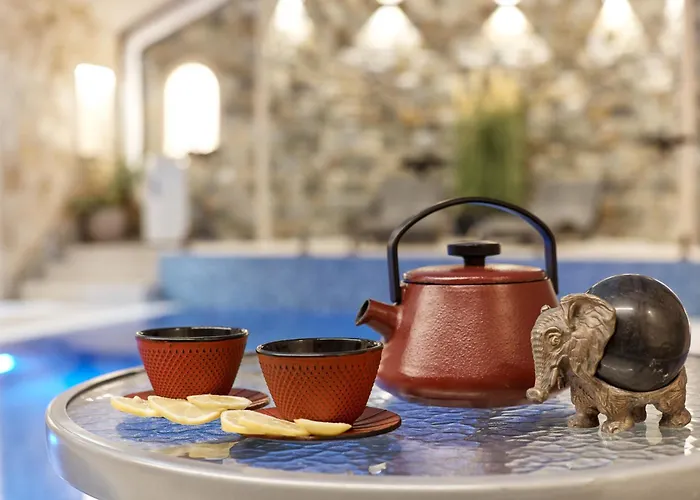 Spa Hotel Villa Ritter