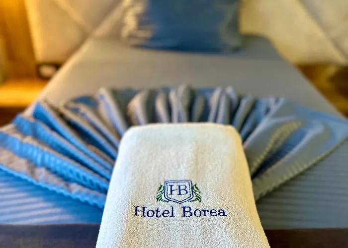 Hotel Borea