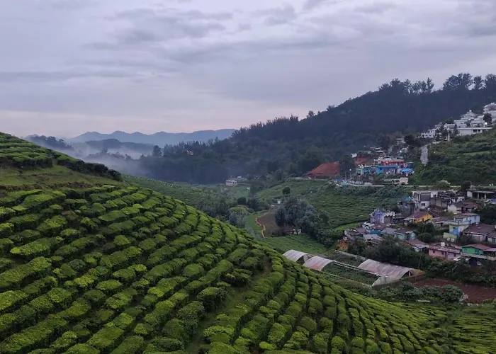 Hill Bird Heritage Home Stay