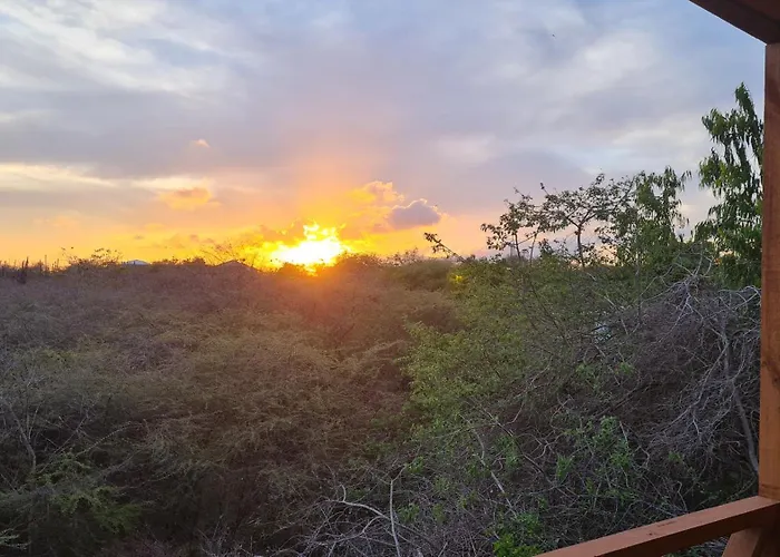 Toni Kunchi - Authentic Curacao Hospitality