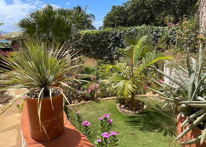 Le Jardin Exotique Hotel