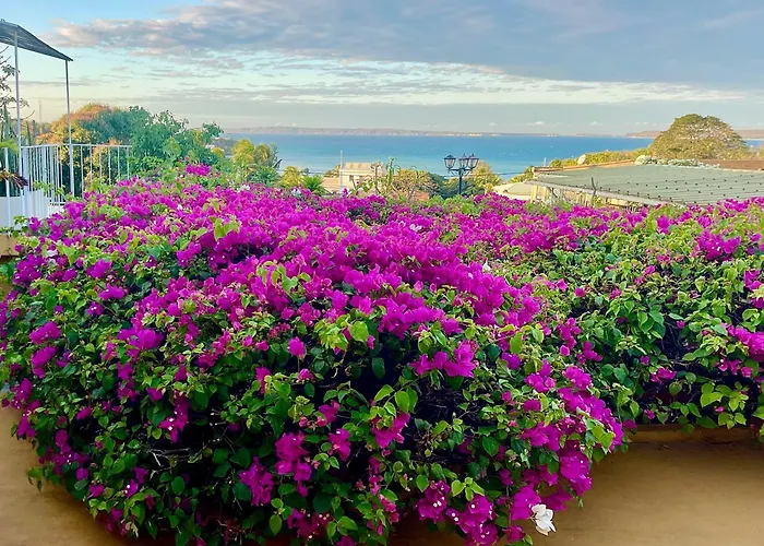 Le Jardin Exotique Hotel