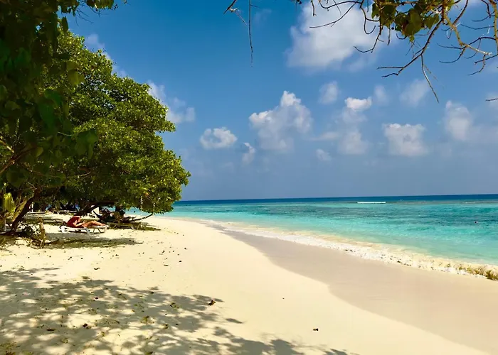Beach Cottage