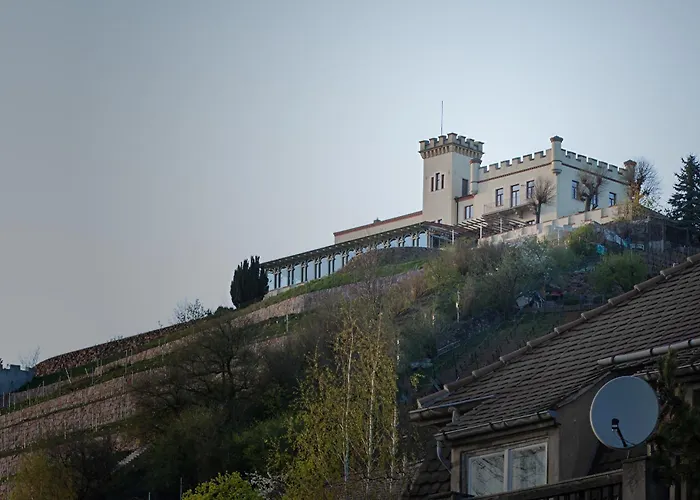 West Hotel An Der Saechsischen Weinstrasse
