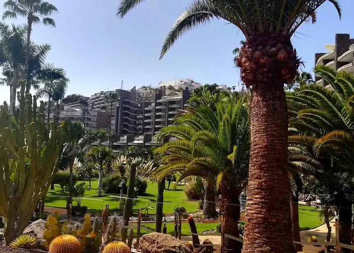 Most Sunny Days On Gran Canaria