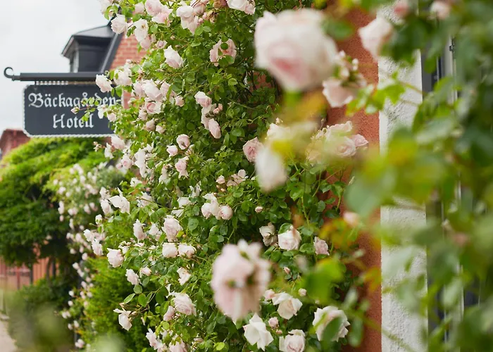 Hotell Baeckagarden