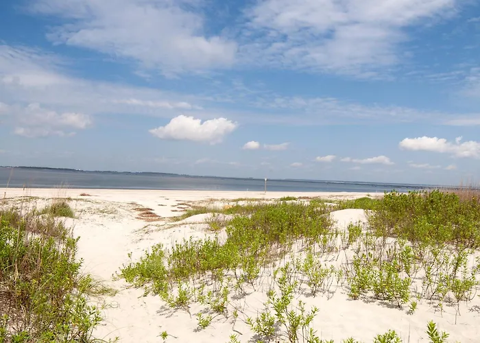 Desoto Beach Gardens