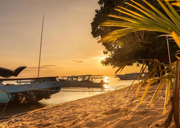 Coco Divers & Homestay Bunaken