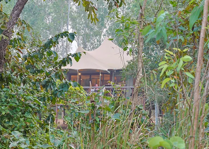 Saja And Sal The Tents
