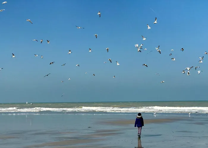 La Falaise Bleue - Vue mer - Plage à pied