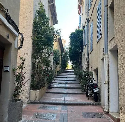 Strelizia - New Central Old Antibes For 4 Ac