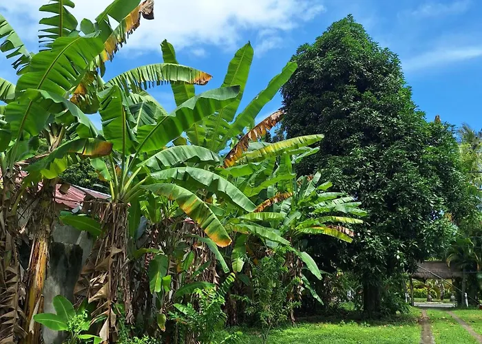 Lendang Eco Lodge