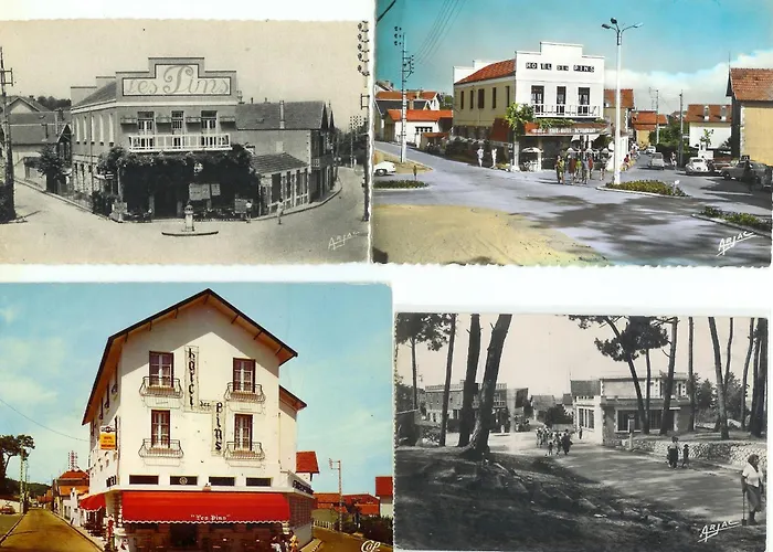 Hôtel Les Pins
