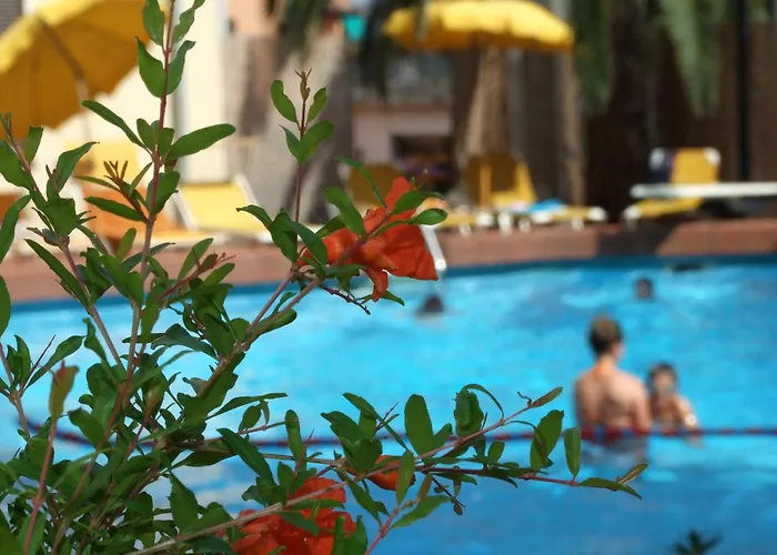Hotel Coccodrillo