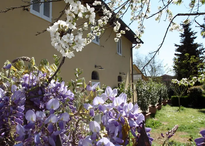 Hotel Calzaiolo
