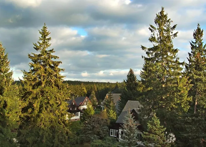 Berghotel Friedrichshoehe - Sauna, Pool & Natur