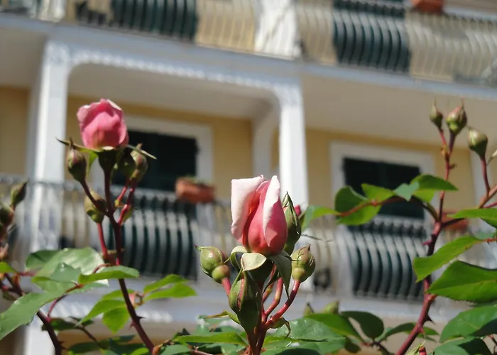 Hotel Miranda