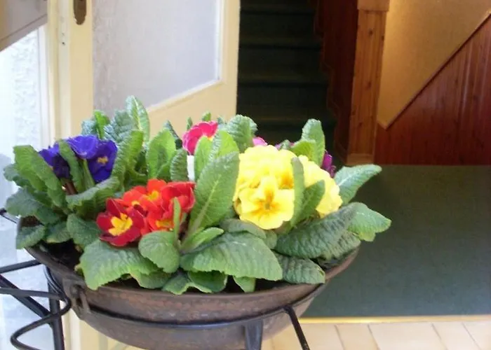 Albergo Corona