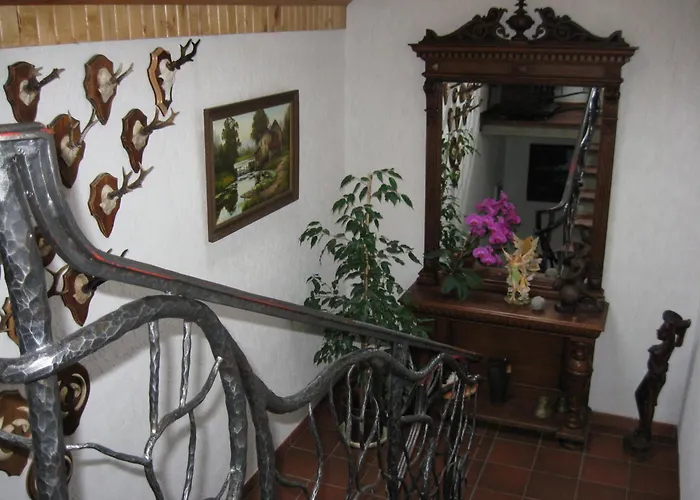 Vila Elvyra