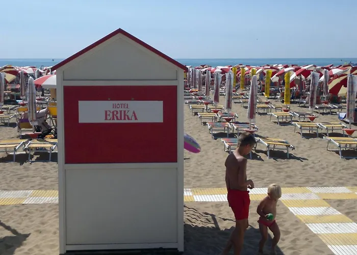 Hotel Erika