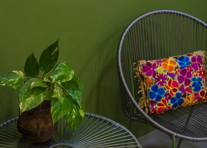 Hotel Boutique Casa Xaan