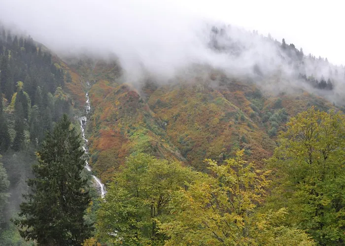 Ayder Hasimoglu Hotel