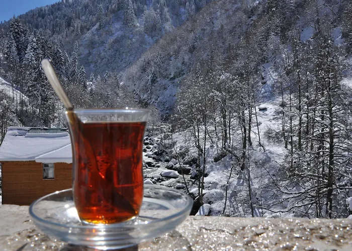 Ayder Hasimoglu Hotel