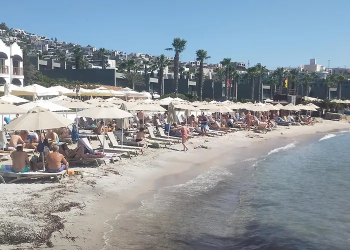 Small Beach Hotel