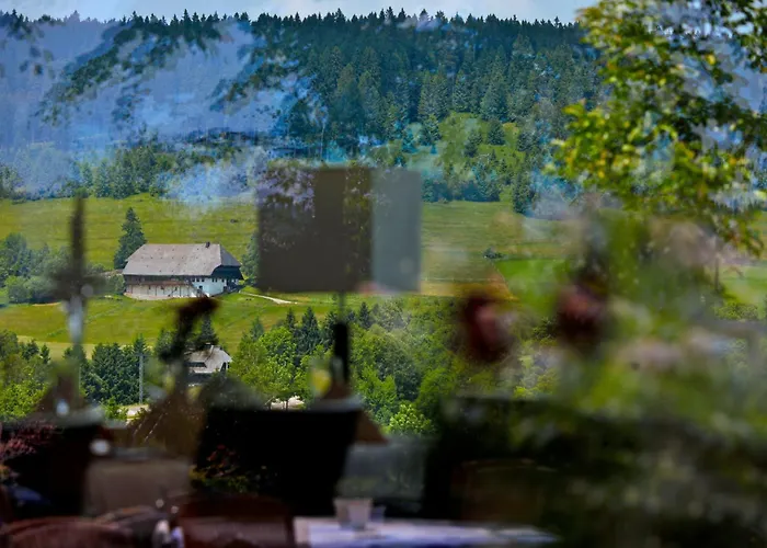Parkhotel Flora Am Schluchsee