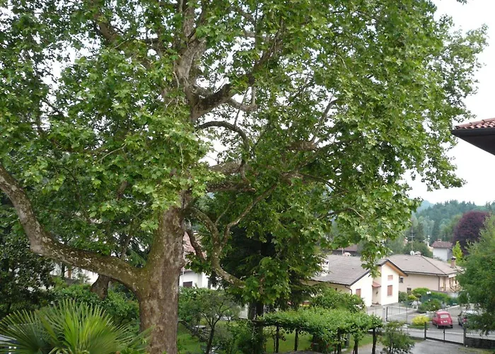 Albergo Centrale
