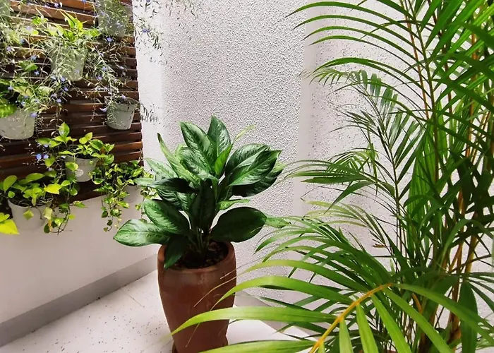 Hotel Pepita Palace