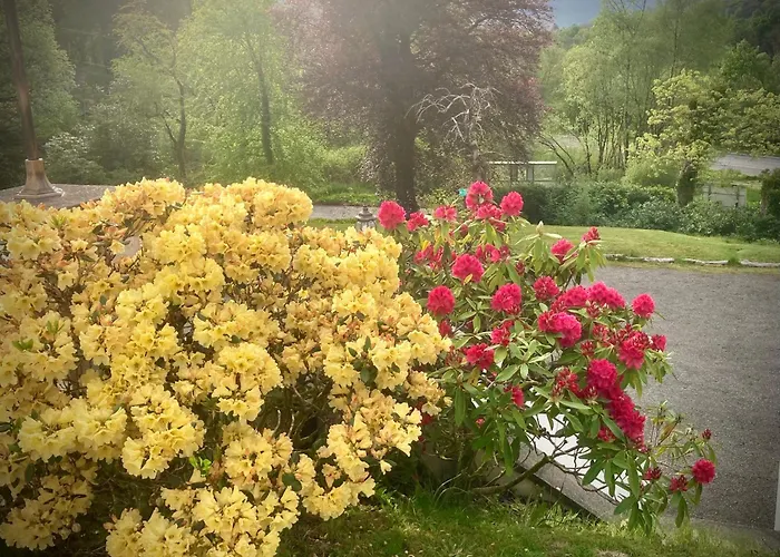Glenorchy Lodge Hotel-Rooms Only