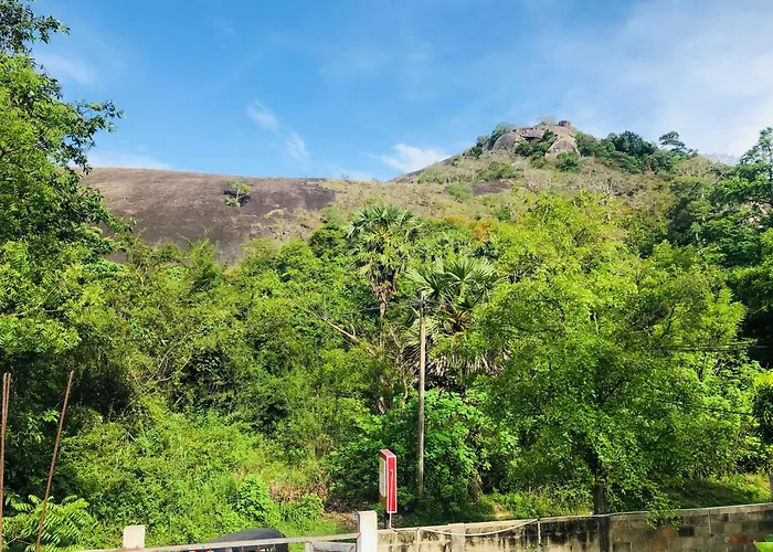Nature Rock Dambulla