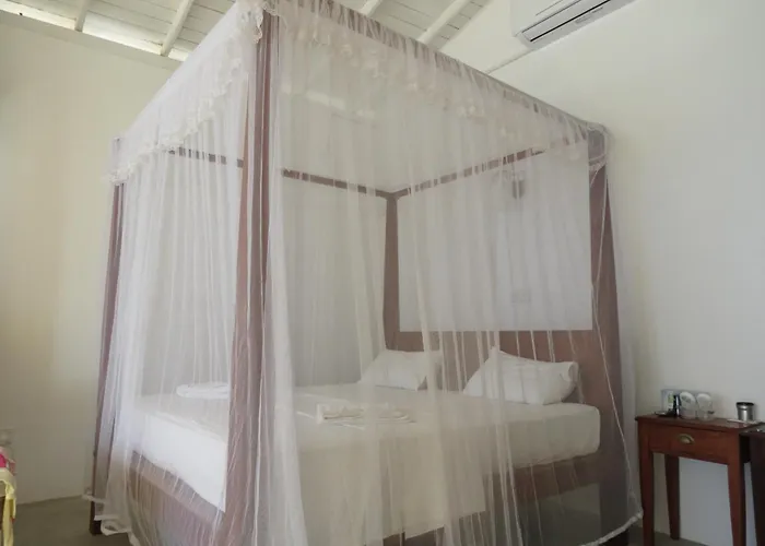 Mountain Wave Hotel And Surfshop