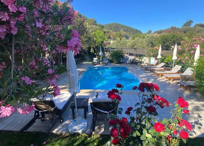 Montenegro Motel