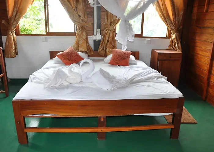 Surf & Yoga Sri Lanka - Surf Camp And Yoga Retreat With Coworking Space