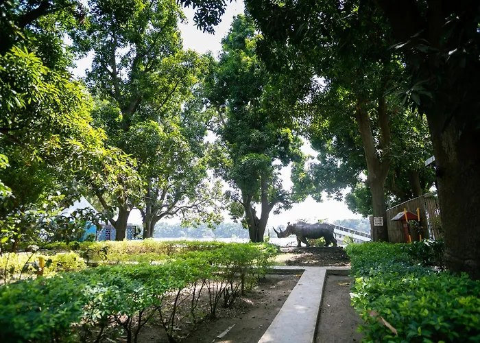 Afex Rivercamp