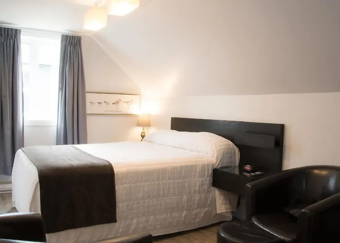 Hôtel Motel Le Beluga