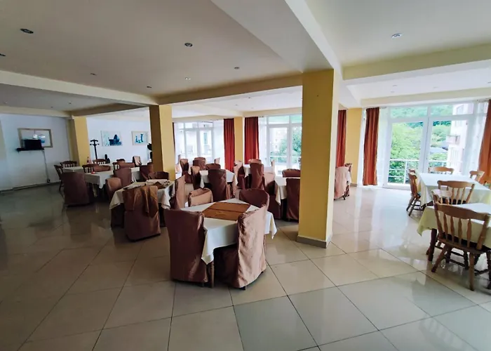 Pensiunea Paradis Baile Herculane