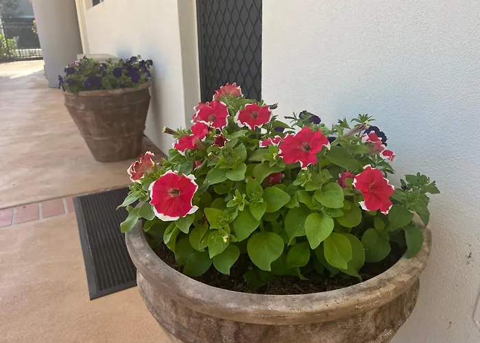 Nautilus Hamptons Style Beach Apartment Merimbula