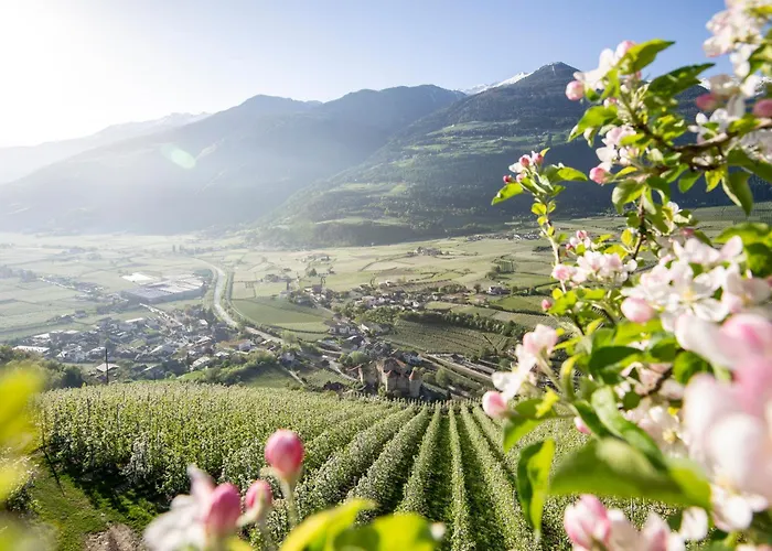 Lindenhof Pure Luxury & Spa Dolcevita Resort