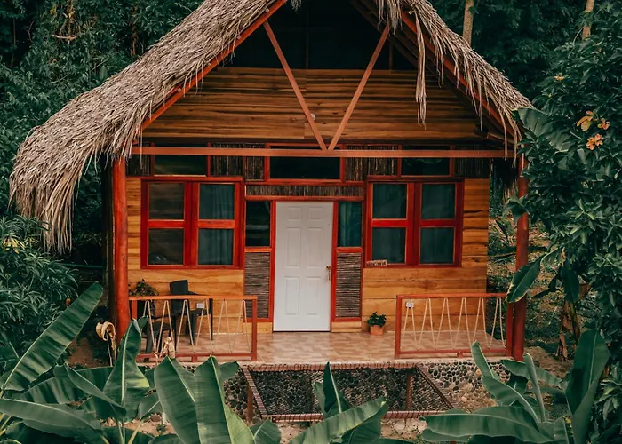 Magic Green dentro del Parque Tayrona