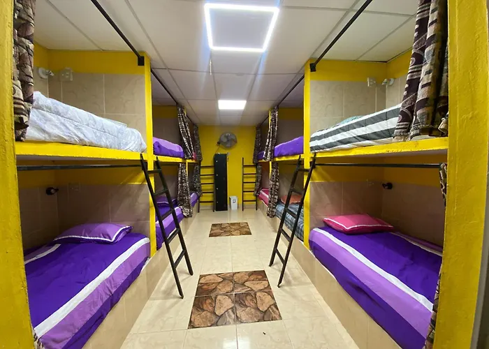 Windmill Hostal