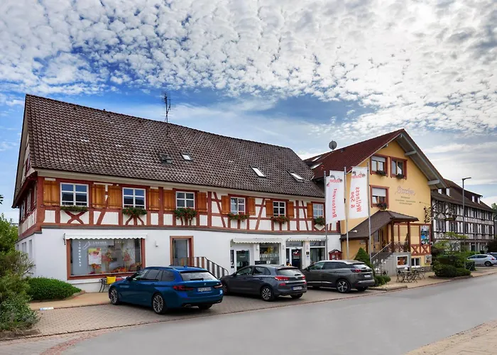 Bodensee Hotel Storchen