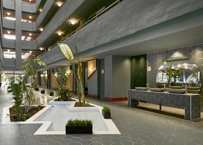 Tent Mojito Suites