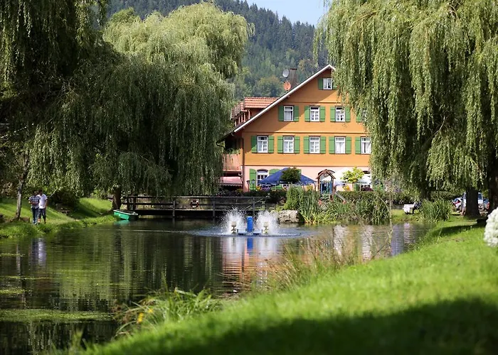 Hotel Zur alten Mühle