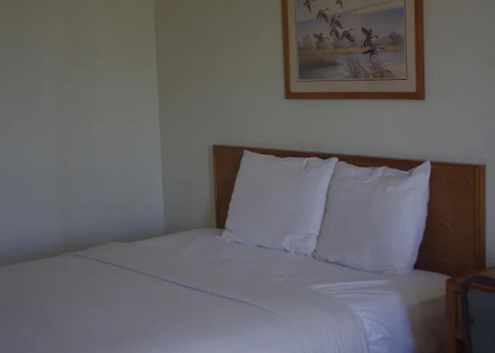 Selby Motel