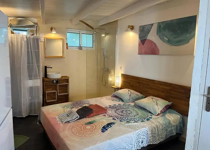 Studio Hibiscus 150 M Des Plages Orient Bay