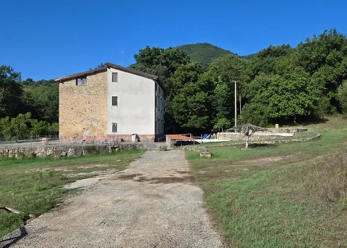 Tenuta D'Arienzo