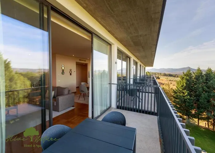 Olive Nature Hotel & Spa - Quinta Valle De Passos